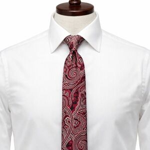 U.S. Polo Assn. Burgundy and Navy Paisley Tie